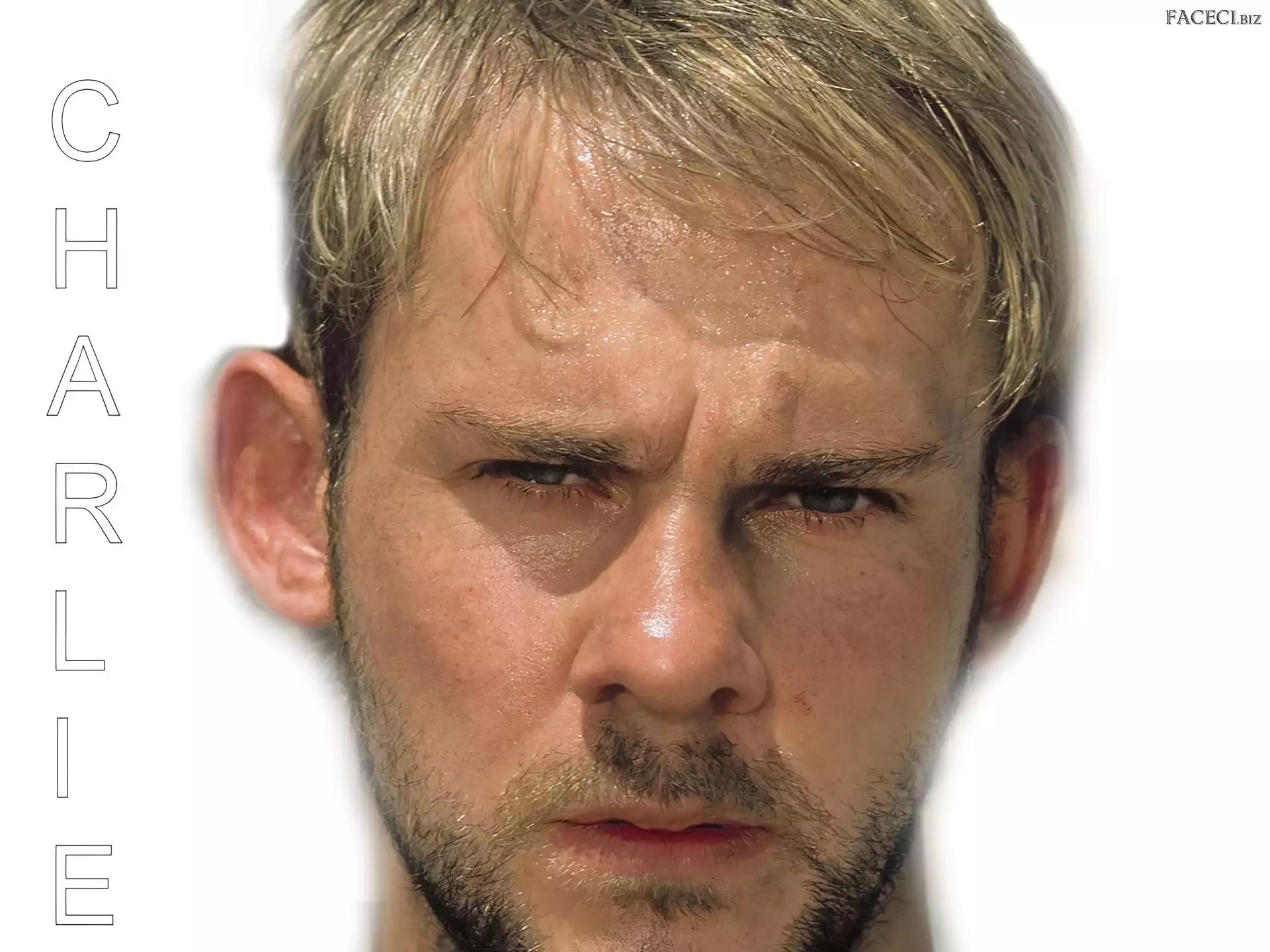 Dominic Monaghan, Lost, twarz, Serial, Zagubieni